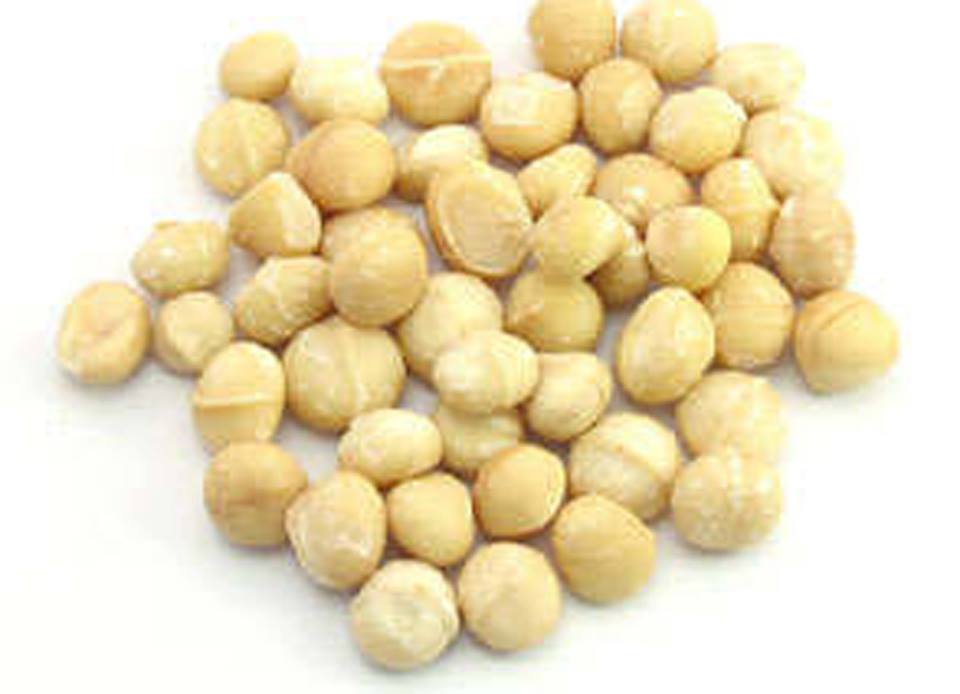 macadamia-nuts.jpg